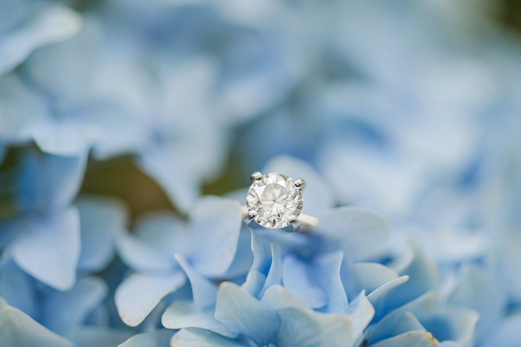 brides solitaire ring on blue hydrangeas 